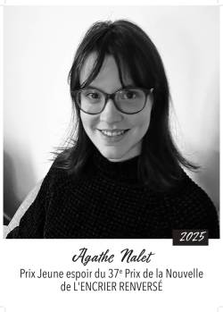 Poster_A._Nalet_page-0001_original